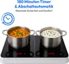 A dual induction cooktop with two pots, one containing curry and the other rice, on a white surface. Produktbild-Vorschau