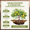 Green Home Zitruserde 72L - Erde für Zitruspflanzen & Produktbild-Vorschau 5