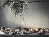 A beautifully set dining table with Christmas decorations, including ornaments hanging from a branch above. Produktbild-Vorschau