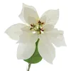 GASPER Weihnachtsstern - Poinsettie Weiß 60 cm - Produktbild-Vorschau 1