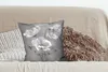 MuchoWow® Zierkissen Sofakissen Wohnzimmer Dekokissen 45x45 Produktbild-Vorschau 4