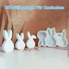Silikonform Osterhasen im Ei,Gießformen Ostern,DIY Gips- & Produktbild-Vorschau 4