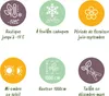 Green boutiQ - Rosier grimpant - Rosa Rainbow - Fleurs Voir les images du produit 7