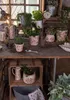 Clayre & Eef bloempot, diameter 12 cm, hoogte 11 cm, wit, Productafbeelding-voorbeeld 2