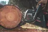 Metabo MS 36-18 LTX BL 40 Akku-Kettensäge Produktbild-Vorschau 24
