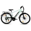 Hiland 26 Zoll Elektro Mountainbike, E-MTB mit 250W Motor, Produktbild-Vorschau 9
