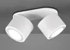 A white ceiling light with two adjustable spotlights is shown against a gray ceiling. Anteprima dell’immagine prodotto