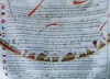 Satiyar- Basmati Reis 1121 5Kg Produktbild-Vorschau 1