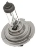 1x HELLA H7 Glühlampe Fernlicht 3300K PX26d Halogen 8GH 007 Produktbild-Vorschau 5