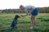A man is training a dog in a park. Produktbild-Vorschau