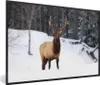 MuchoWow® MuchoWow® Gerahmtes Poster Rotwild - Schnee - Produktbild-Vorschau 1
