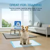 50 x Ultra saugfähige Hunde Trainingsunterlagen Produktbild-Vorschau 6