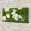 Tulup Glas-Bild -140x70- Wandkunst Dekorative Wand für Produktbild-Vorschau 2