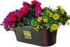 A planter box filled with colorful flowers, set against a white background. Produktbild-Vorschau