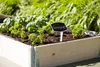 A raised garden bed filled with herbs, with a plant marker in the foreground. Produktbild-Vorschau