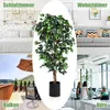 Plante d'intérieur décorative de 180 cm, plante Voir les images du produit 4