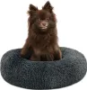 A small brown dog sitting in a round, dark gray dog bed. Anteprima dell’immagine prodotto