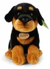 Peluche Rottweiler 30 Cm Ecologique Voir les images du produit 5