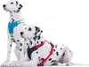HUNTER Hundegeschirr NEOPREN, rot/schwarz, Produktbild-Vorschau 8
