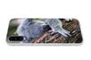 MuchoWow® Handyhülle Schutzhülle Hülle für Huawei P30 Koala Produktbild-Vorschau 5