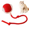 Elektrischer Katzen- und Hundeball – interaktives Spielzeug Produktbild-Vorschau 1