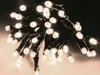 A close-up view of a string of white LED lights. Voir les images du produit