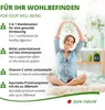 Moringa Blattpulver mikrofein vermahlen, höchste Produktbild-Vorschau 4