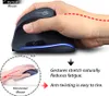 Comparison of a vertical mouse and a horizontal mouse, highlighting the ergonomic benefits of the vertical mouse. Produktbild-Vorschau