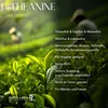 BOOS LABS L Theanin Aminosäure I 400mg I 150 vegane Kapseln Produktbild-Vorschau 4
