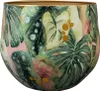 Collection TS - Blumentopf Monstera mystère - 24x21 Voir les images du produit 1