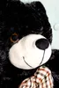 Gustaw Teddybär Groß XXL (Schwarz, 50cm) Classico - Produktbild-Vorschau 4