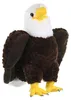 Wild Republic - Peluche - Cuddlekins -  Aquila calva Anteprima dell’immagine prodotto 2