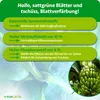 Purgrün Bananendünger 1 Liter, Produktbild-Vorschau 3