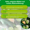 Purgrün -Mango-Dünger 1 Liter Produktbild-Vorschau 3