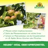 Neudorff Neudo-Vital Obst-Spritzmittel 250 ml Produktbild-Vorschau 4