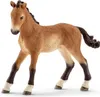 Schleich®  Schleich® Horse Club Besuch im Offenstall Set Voir les images du produit 12
