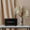 Caliber Caliber Retro Speaker - Bluetooth Lautsprecher - Produktbild-Vorschau 3