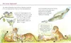 Unkaputtbar: Erstes Wissen: Tiere und ihre Kinder Produktbild-Vorschau 8