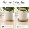 Pflanztopfuntersetzer Mira Taupe Ø 34cm - Frostsicher & Produktbild-Vorschau 6