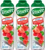 Teisseire Sirup Erdbeer-Himbeer zero Zucker 600ml - Produktbild-Vorschau 1