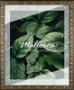 Bilderrahmen Mallorca - 40x60 cm, Schwarz Gold Nachbildung, Produktbild-Vorschau 1