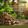 Gardenflare 10029, Freistehende Feuerstelle, Geschlossen, Produktbild-Vorschau 19