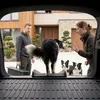 Rampe Hund, klappbare und rutschfest Hunderampe, Produktbild-Vorschau 6