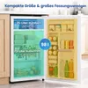 COSTWAY, mini refrigerador de 98 litros, nevera portátil Vista previa de la imagen del producto 2