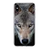 MuchoWow® Handyhülle Schutzhülle Hülle für iPhone Xs Wolf - Produktbild-Vorschau 1