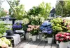 A collection of potted hydrangeas in various colors displayed on a wooden deck. Produktbild-Vorschau