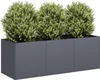 Maison Exclusive - Pflanzgefäß Anthrazit 120 x 40 x 40 cm Produktbild-Vorschau 1