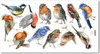 Doppelseitige farbige elektrostatische Glasaufkleber Vogel Produktbild-Vorschau 1