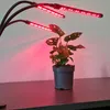 Gardlov 2x LED Lempa augalų auginimui - 2 vnt. Produktbild-Vorschau 17