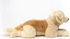 Golden Retriever liegend, 60 cm, Plüsch, 1 Stück Produktbild-Vorschau 6